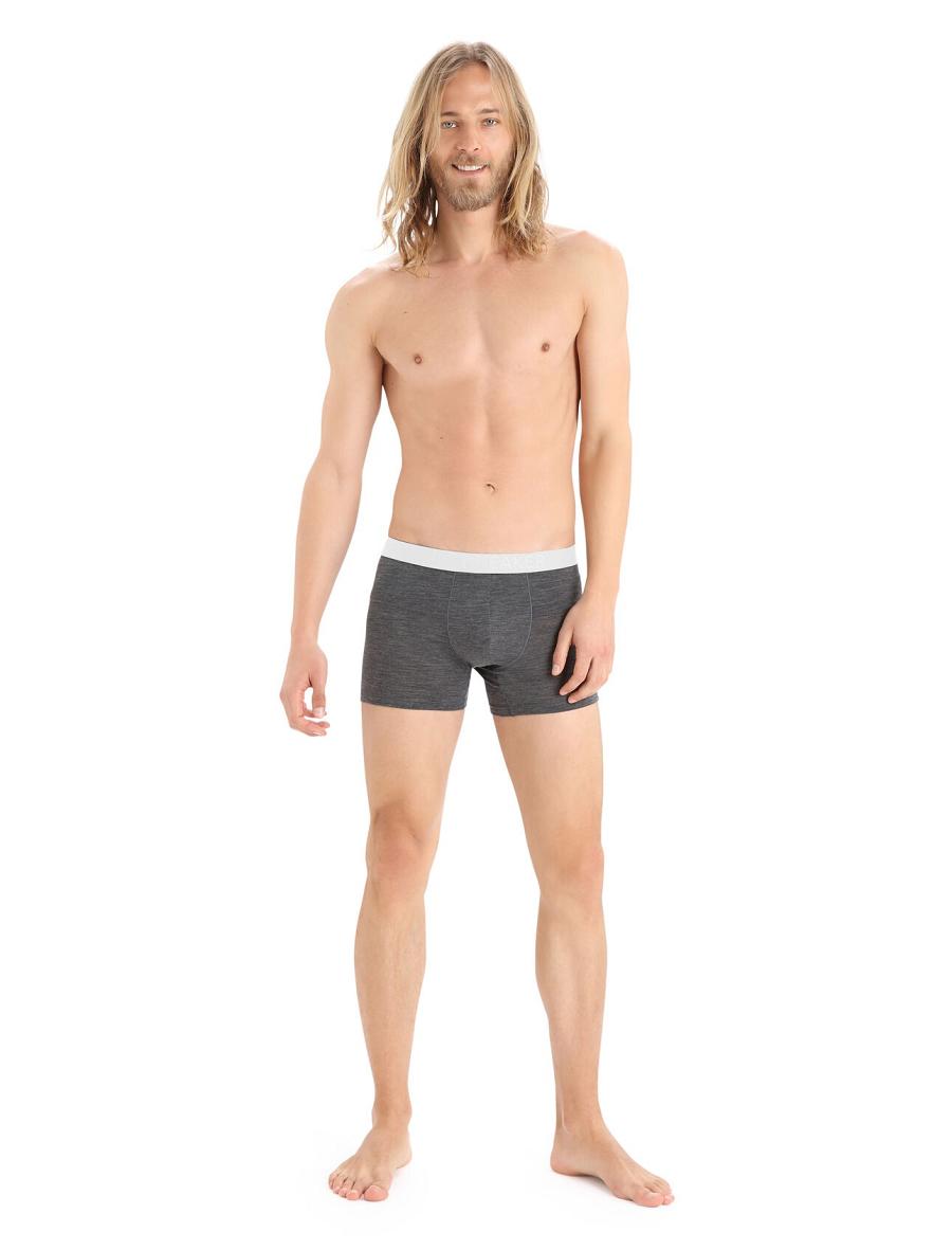 Monsoon Heather Men's Icebreaker Cool-Lite™ Merino Anatomica Boxers Underwear | USA 1319VRWD